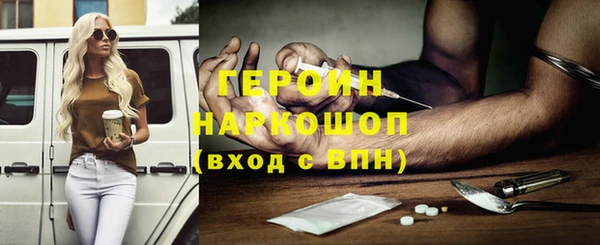стаф Инта
