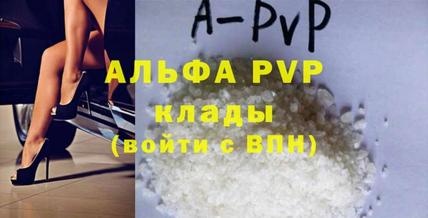 стаф Инта
