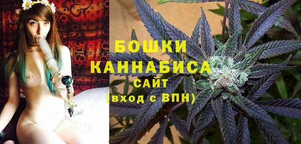 гидра Инсар