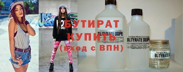 гидра Инсар