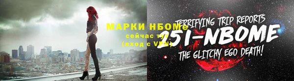стаф Инта