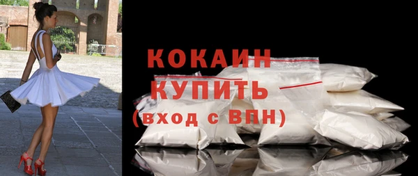 стаф Инта