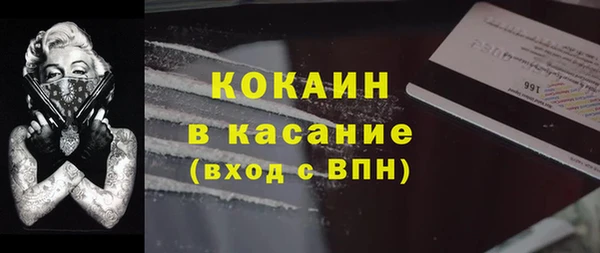 стаф Инта