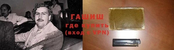 стаф Инта