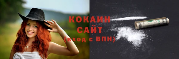 гидра Инсар
