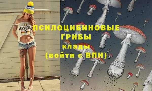 гидра Инсар