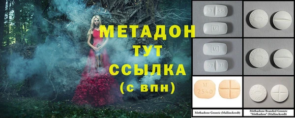 стаф Инта