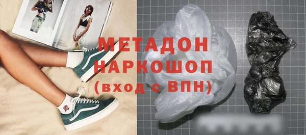 стаф Инта