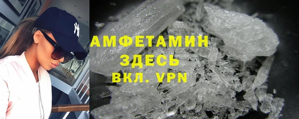 стаф Инта