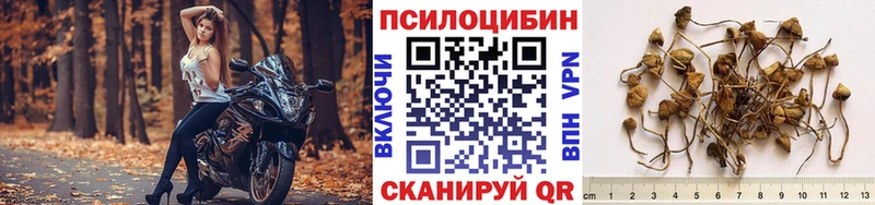 Купить закладки  Наро-Фоминск  Галлюциногенные грибы мухоморы 